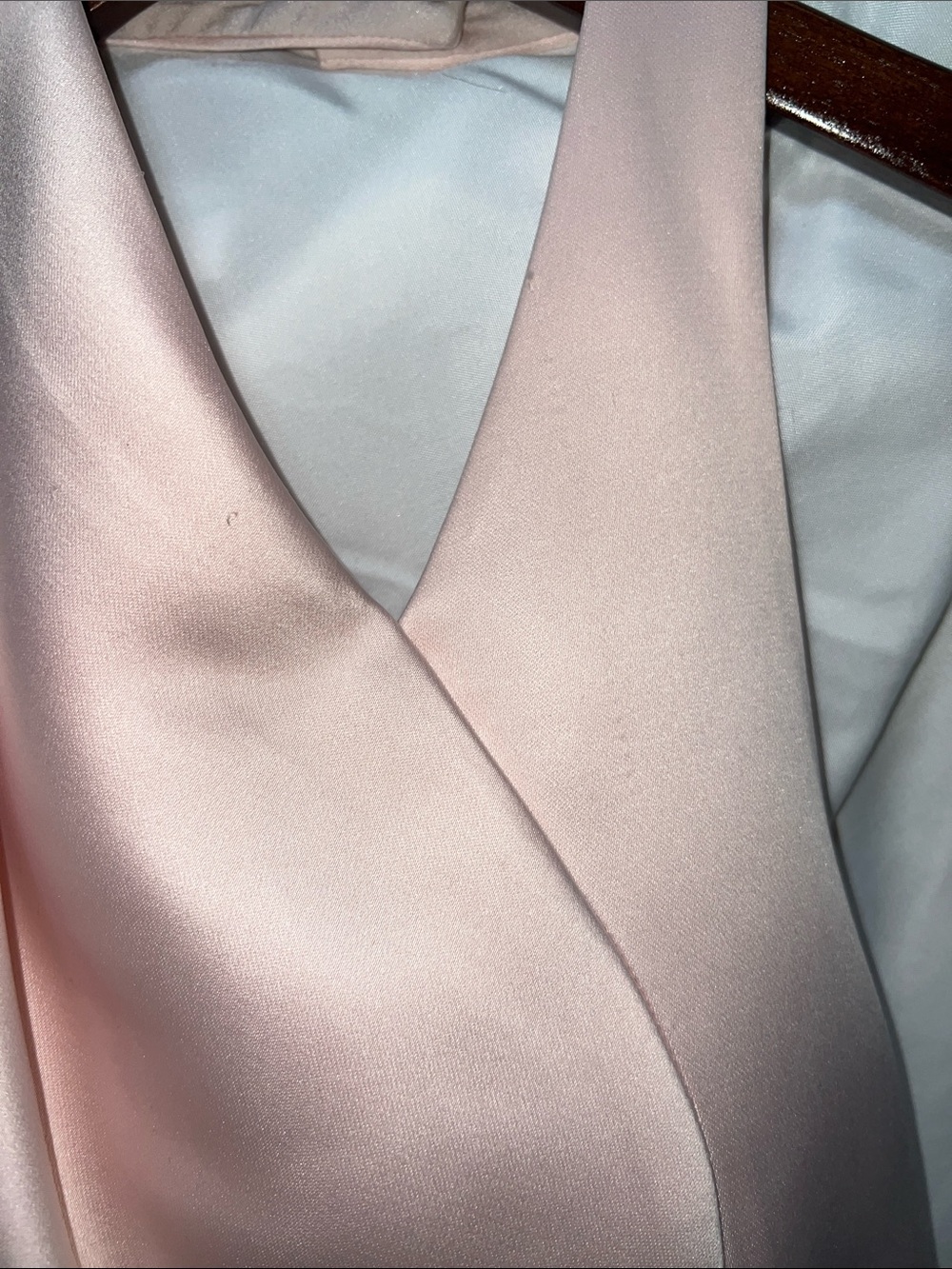 Halston Heritage Blush Pink Dress - Picture 5 of 11